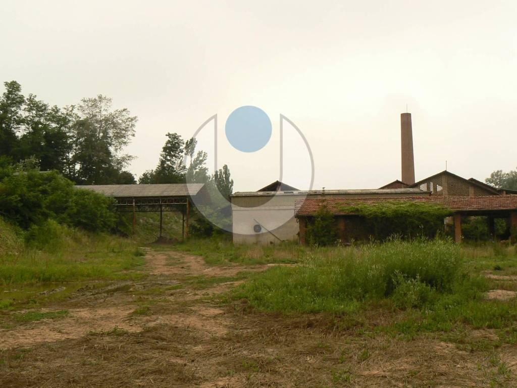 Terreno a Dogliani - Foto 5