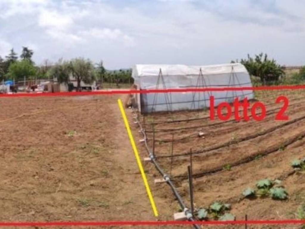 Terreno a Città sant'angelo in Via San Martino s.n.c - Foto 4