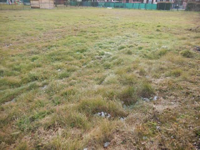 Terreno a Momo - Foto 2