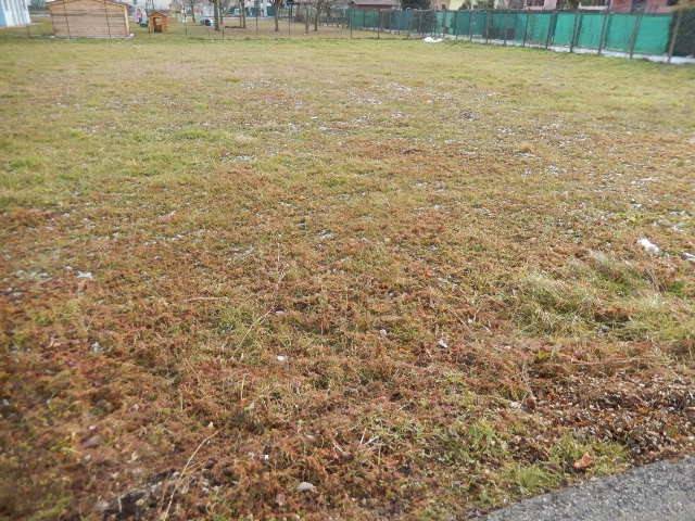 Terreno a Momo - Foto 4