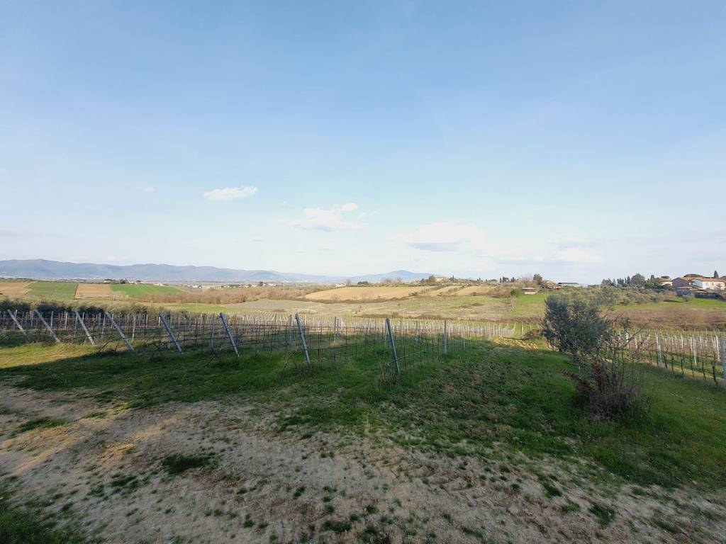 Terreno a Marciano della chiana - Foto 2