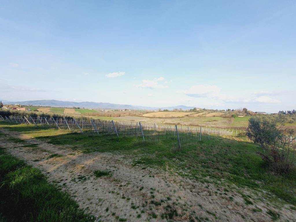 Terreno a Marciano della chiana - Foto 3
