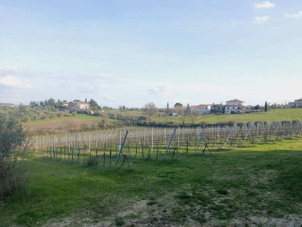 Terreno a Marciano della chiana - Foto 5