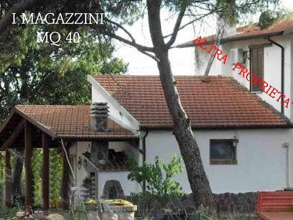 Immobile a Roccastrada in ZONA MONTEMASSI ZONA RIBOLLA - Foto 2