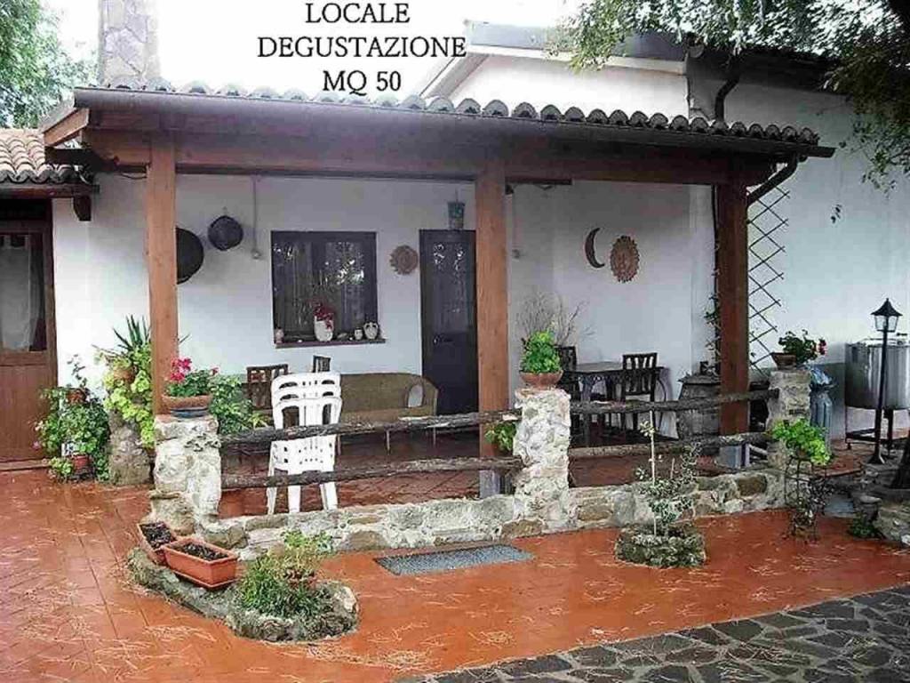 Immobile a Roccastrada in ZONA MONTEMASSI ZONA RIBOLLA - Foto 3