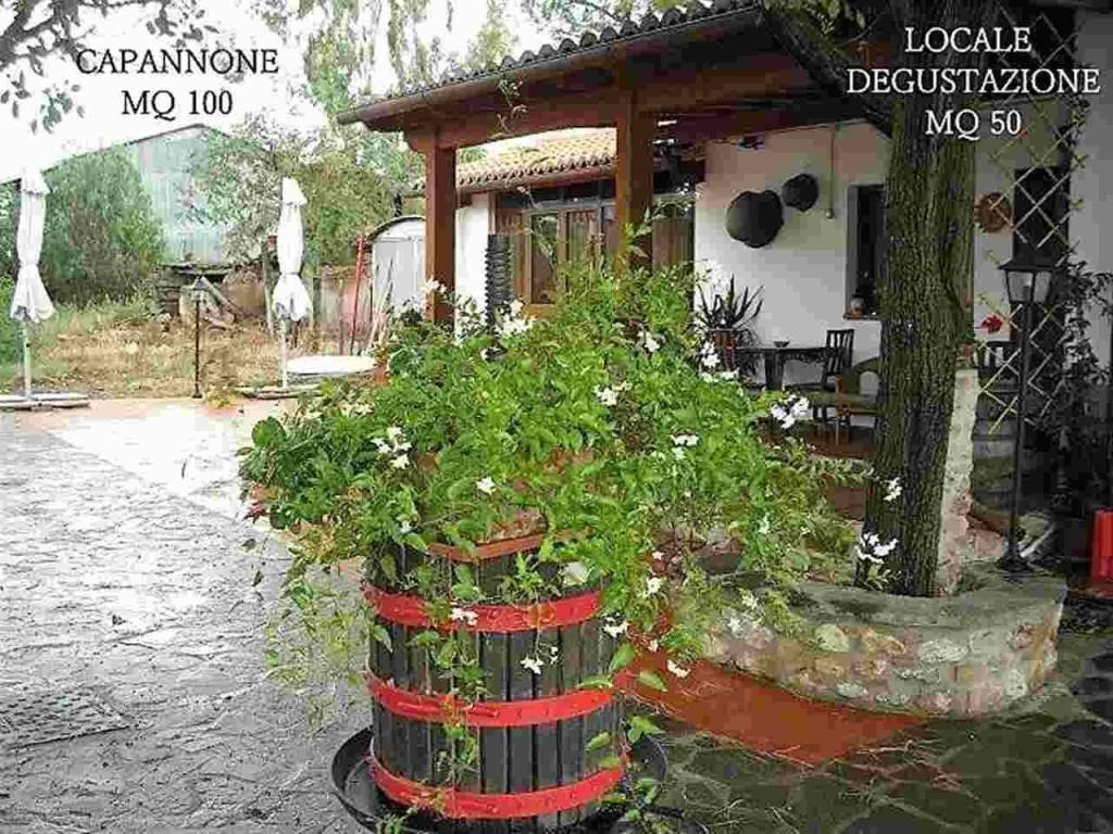 Immobile a Roccastrada in ZONA MONTEMASSI ZONA RIBOLLA - Foto 5