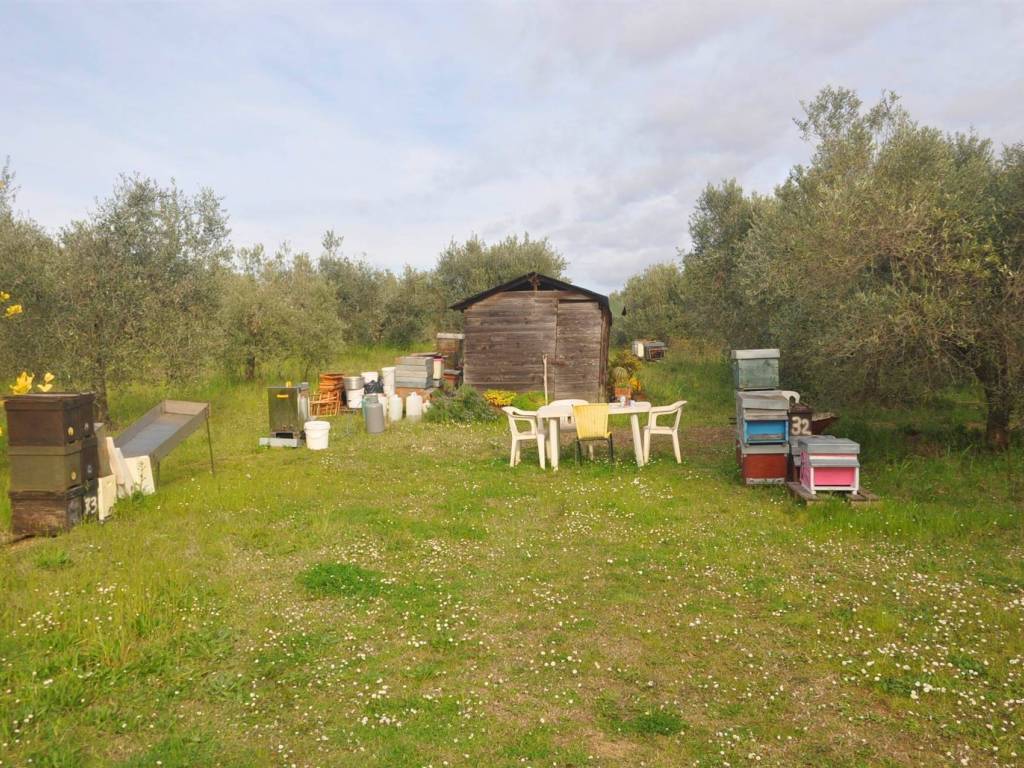 Terreno a Rosignano marittimo in Stradone del Pipistrello - Foto 2