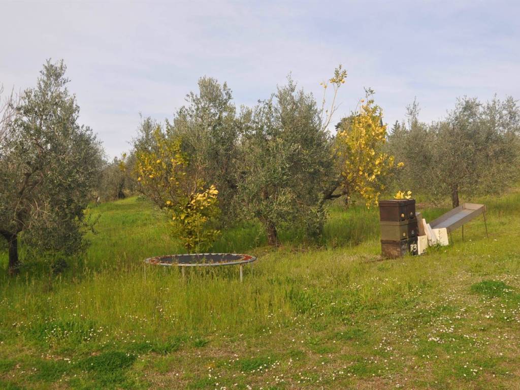 Terreno a Rosignano marittimo in Stradone del Pipistrello - Foto 3