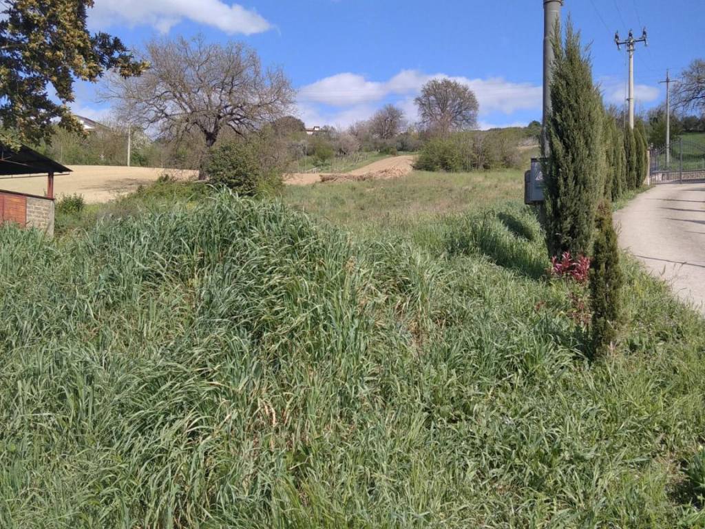 Rustico / casale a Magliano sabina - Foto 2