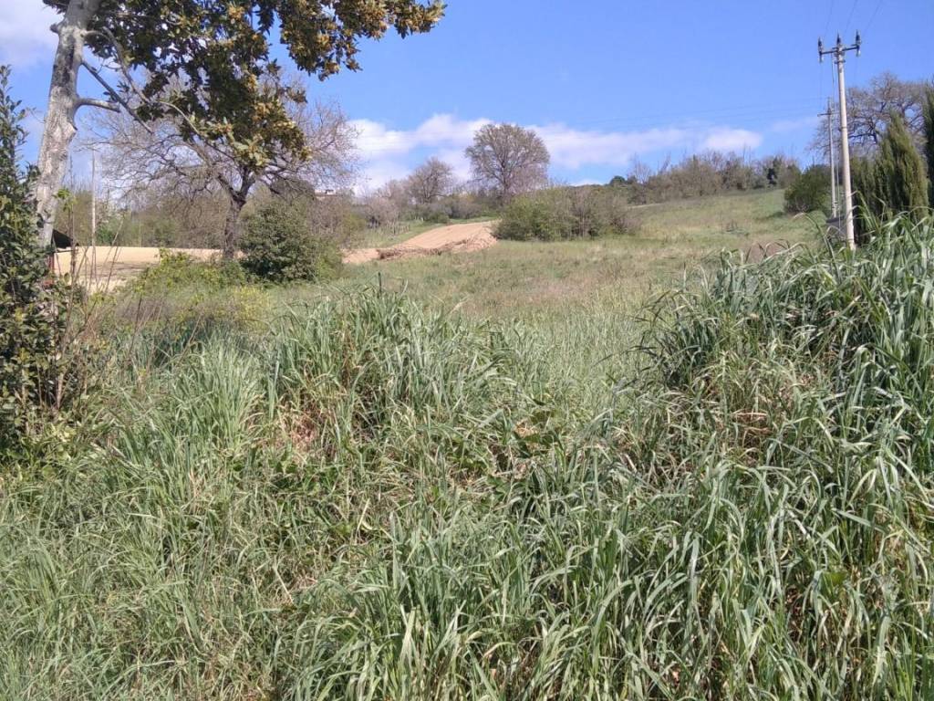 Rustico / casale a Magliano sabina - Foto 3