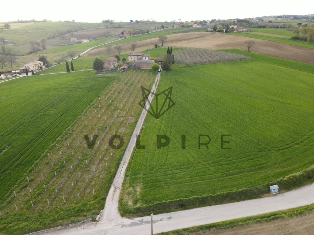 Terreno a Montefalco in Localita' Macchie, 26 - Foto 2