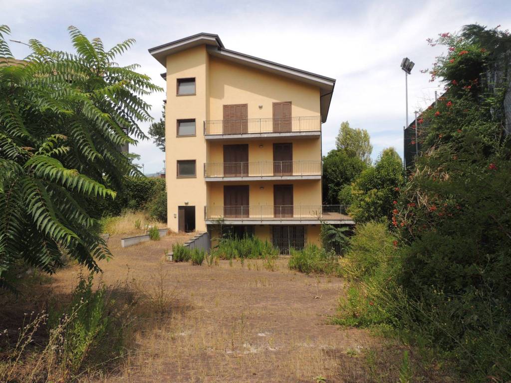 immagine di copertina