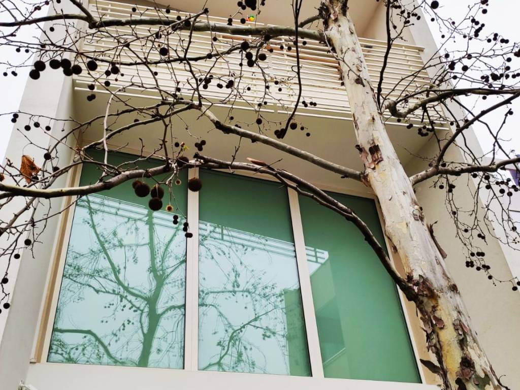 Casa indipendente a Bitritto in Via Giovanni Verga, 28 - Foto 2