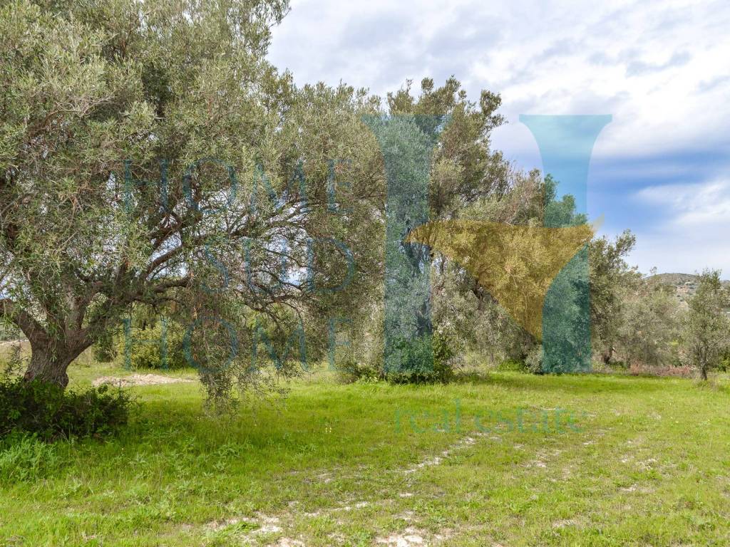 Villa a Avola - Foto 2