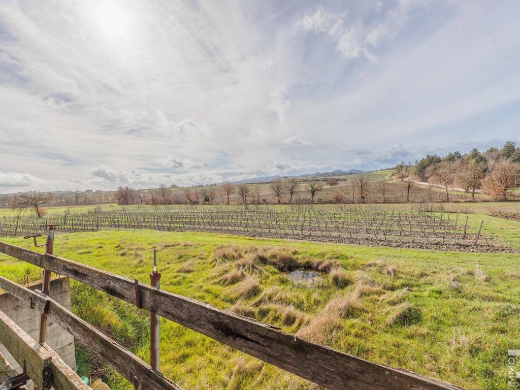 Rustico / casale a Montepulciano in Via di Ascianello - Foto 3