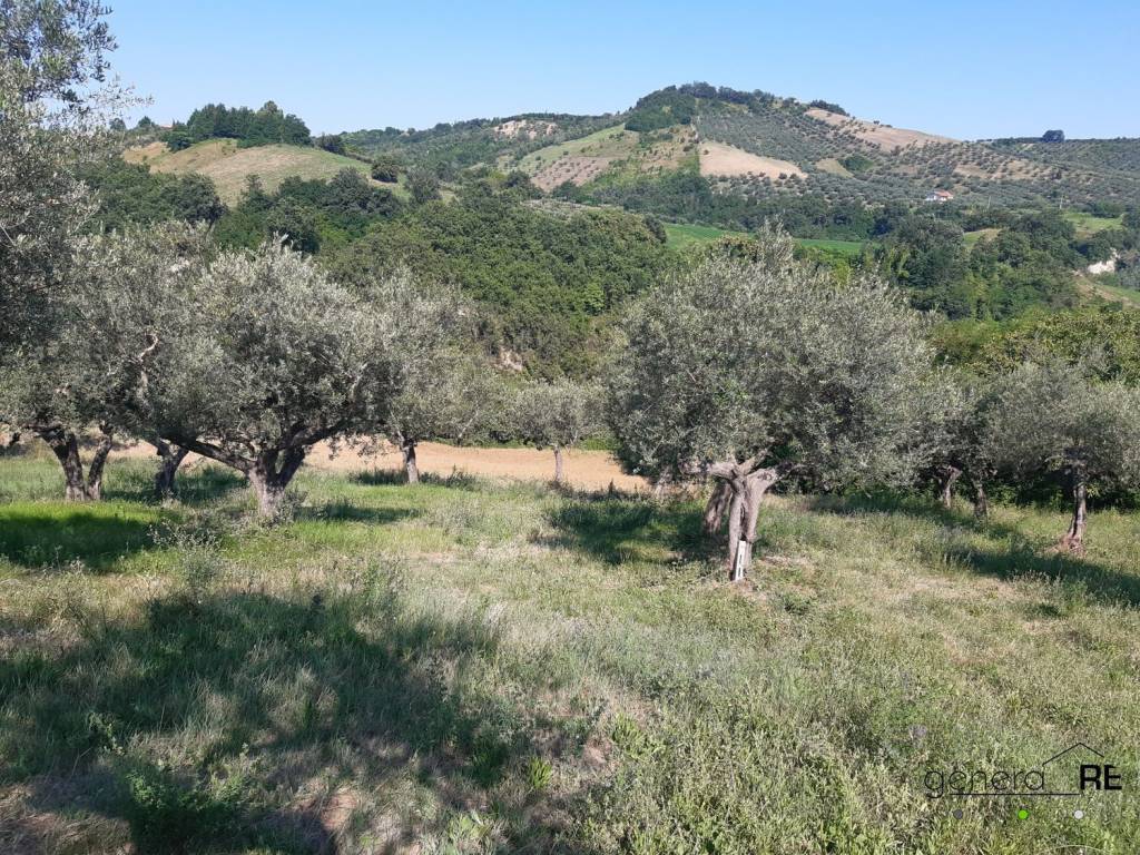 Terreno a Penne in SS151 - Foto 3