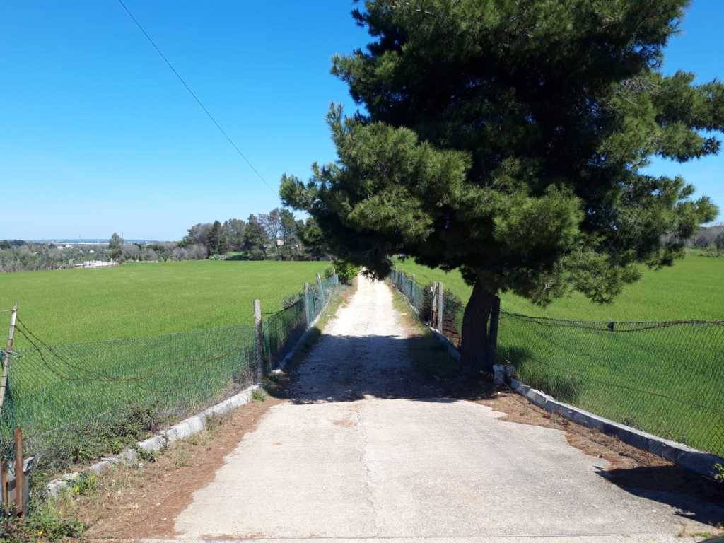 Terreno a Tricase in Strada Vicinale Monti - Foto 3