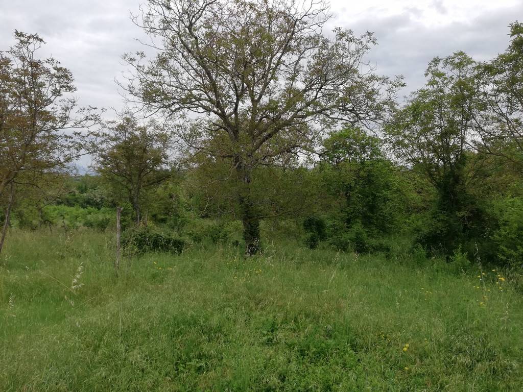 Rustico / casale a Caiazzo in Strada Statale 158, 34 - Foto 3