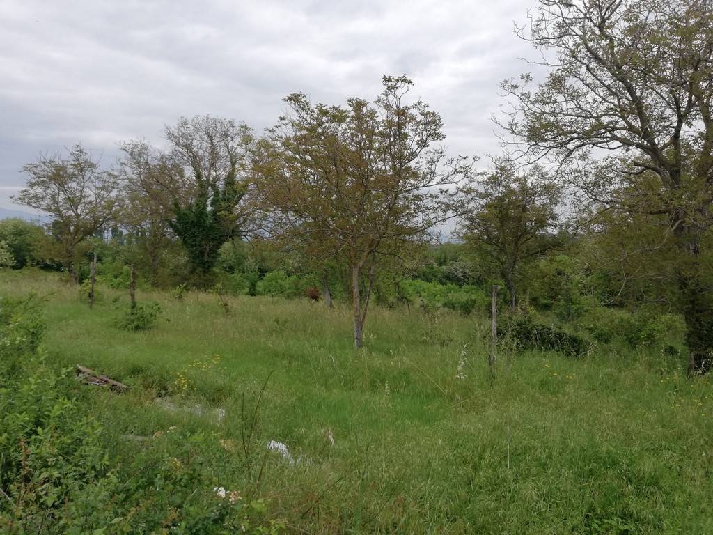 Rustico / casale a Caiazzo in Strada Statale 158, 34 - Foto 4