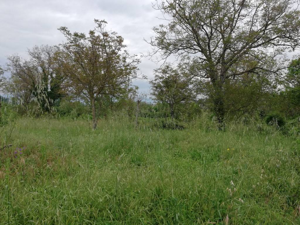 Rustico / casale a Caiazzo in Strada Statale 158, 34 - Foto 5