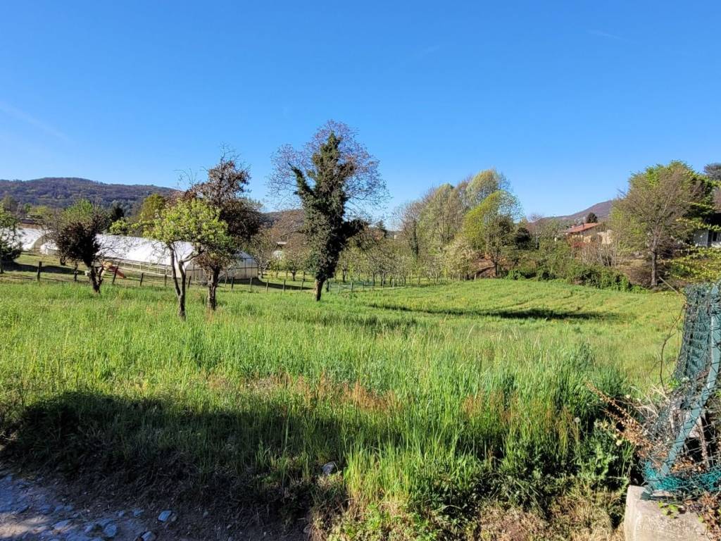 Terreno a Nebbiuno in Via Vittorio Emanuele, 6 - Foto 2