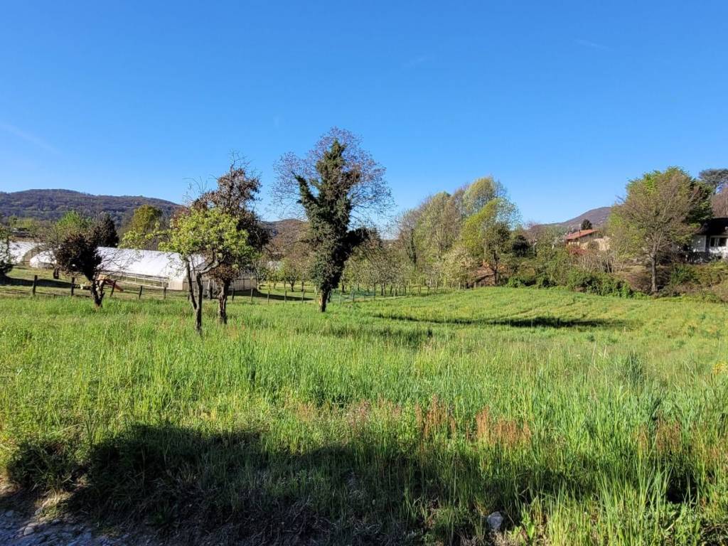 Terreno a Nebbiuno in Via Vittorio Emanuele, 6 - Foto 3