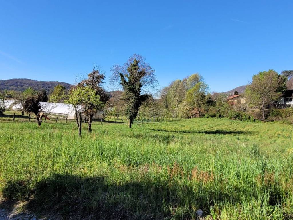 Terreno a Nebbiuno in Via Vittorio Emanuele, 6 - Foto 4