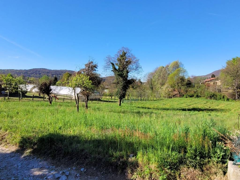 Terreno a Nebbiuno in Via Vittorio Emanuele, 6 - Foto 5