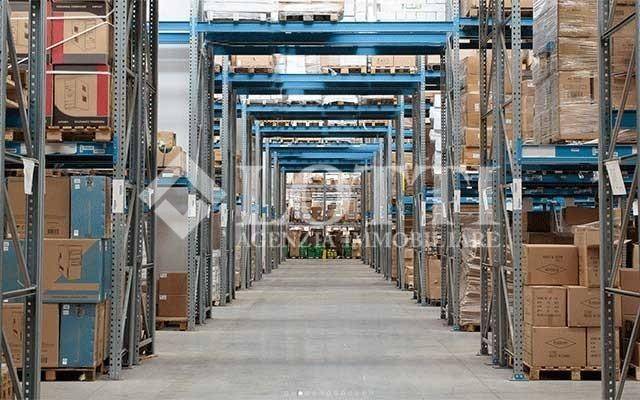 Immobile a Terricciola - Foto 4