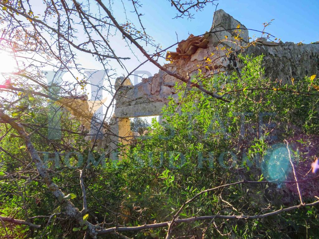 Rustico / casale a Noto in Via Tommaso Fazello, 228 - Foto 4