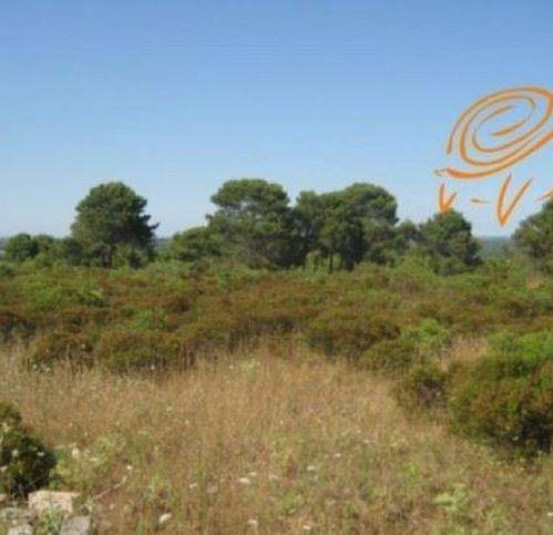 Terreno a Supersano in Contrada C.Da Schillanti - Foto 2