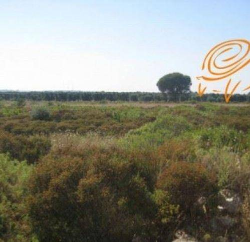 Terreno a Supersano in Contrada C.Da Schillanti - Foto 3