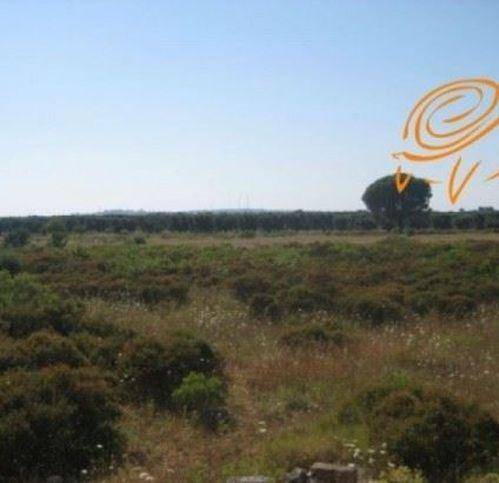 Terreno a Supersano in Contrada C.Da Schillanti - Foto 5