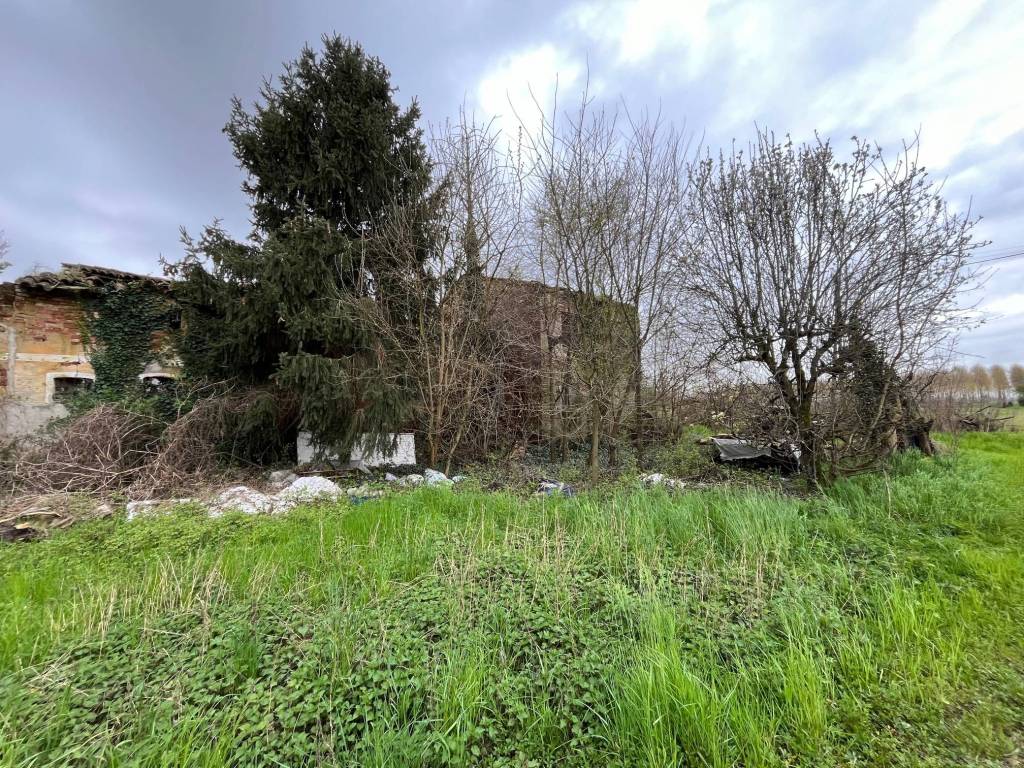 Rustico / casale a Borgoricco in Via del Graticolato - Foto 2