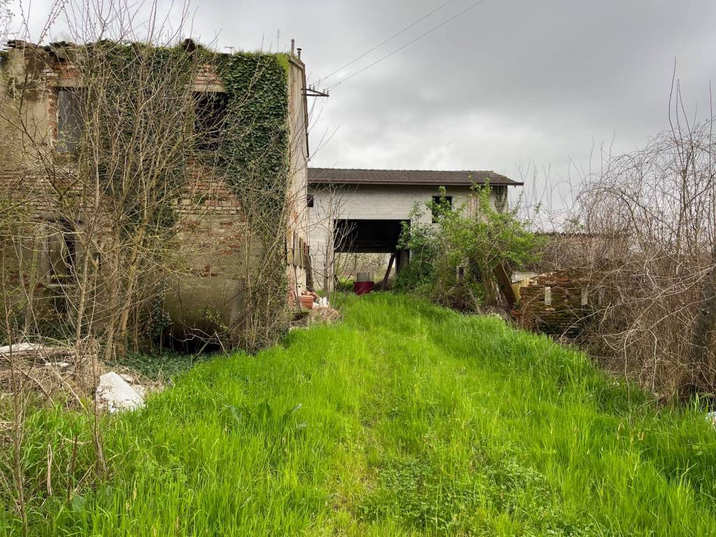 Rustico / casale a Borgoricco in Via del Graticolato - Foto 3