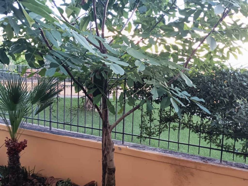 Appartamento a Montecorvino pugliano in Via Toscana, 8 - Foto 5