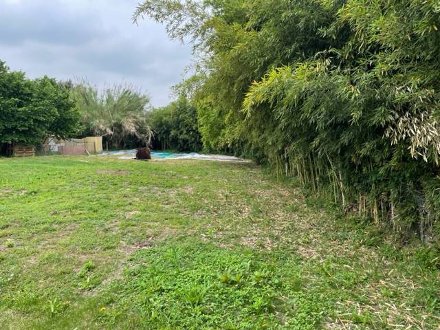 Terreno a Vercelli - Foto 4