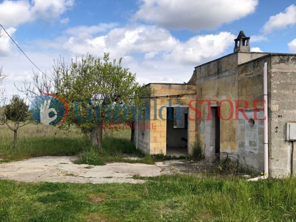 Rustico / casale a Cutrofiano in Contrada Signorella - Foto 5