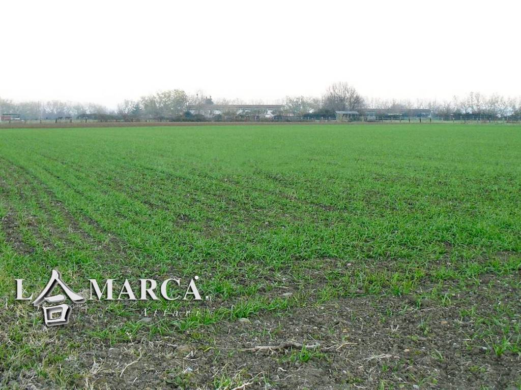 Terreno a Castelfranco veneto - Foto 2