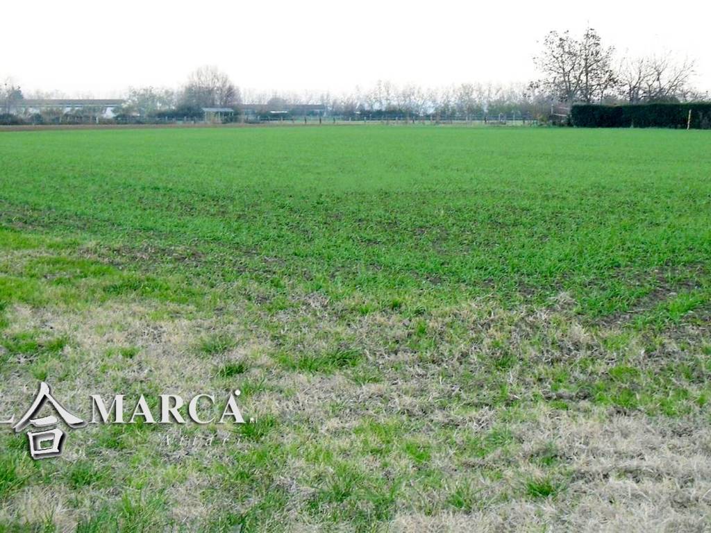 Terreno a Castelfranco veneto - Foto 3