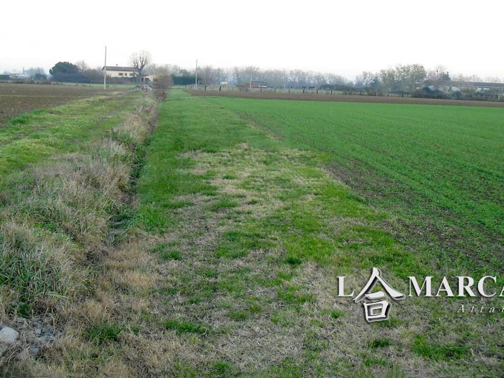 Terreno a Castelfranco veneto - Foto 4