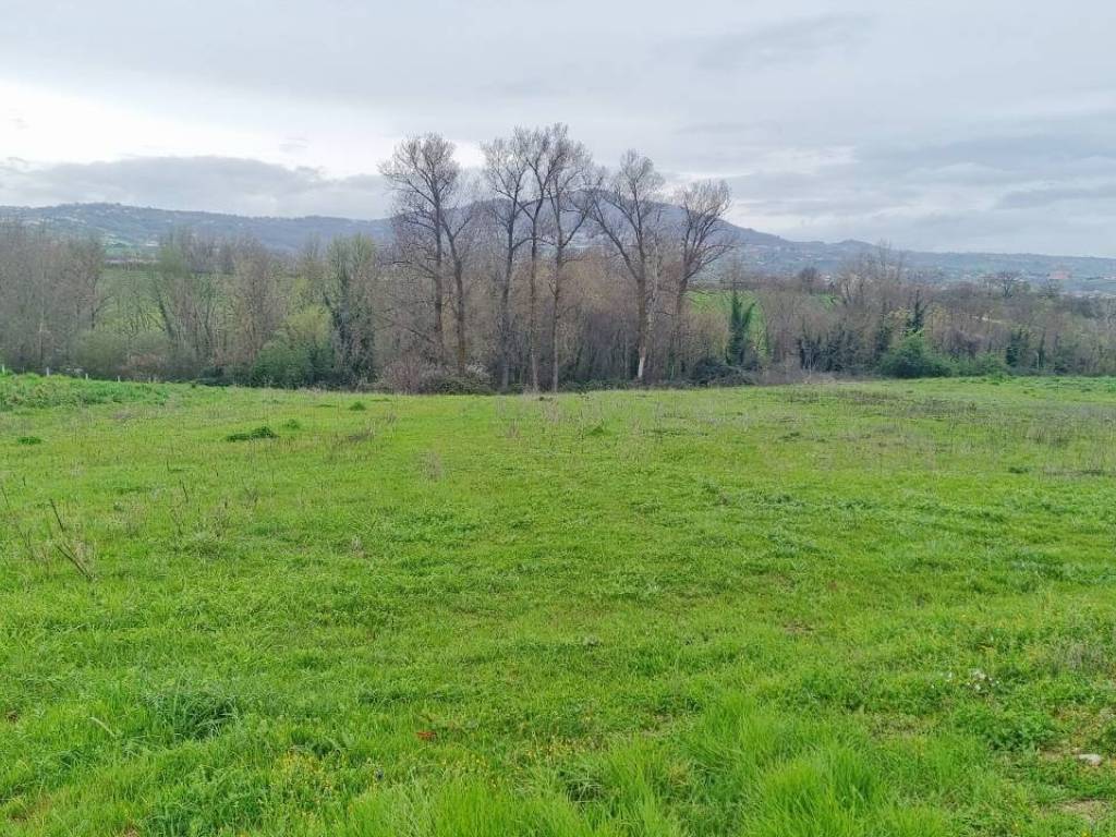 Terreno a Castel baronia in SP281 - Foto 3