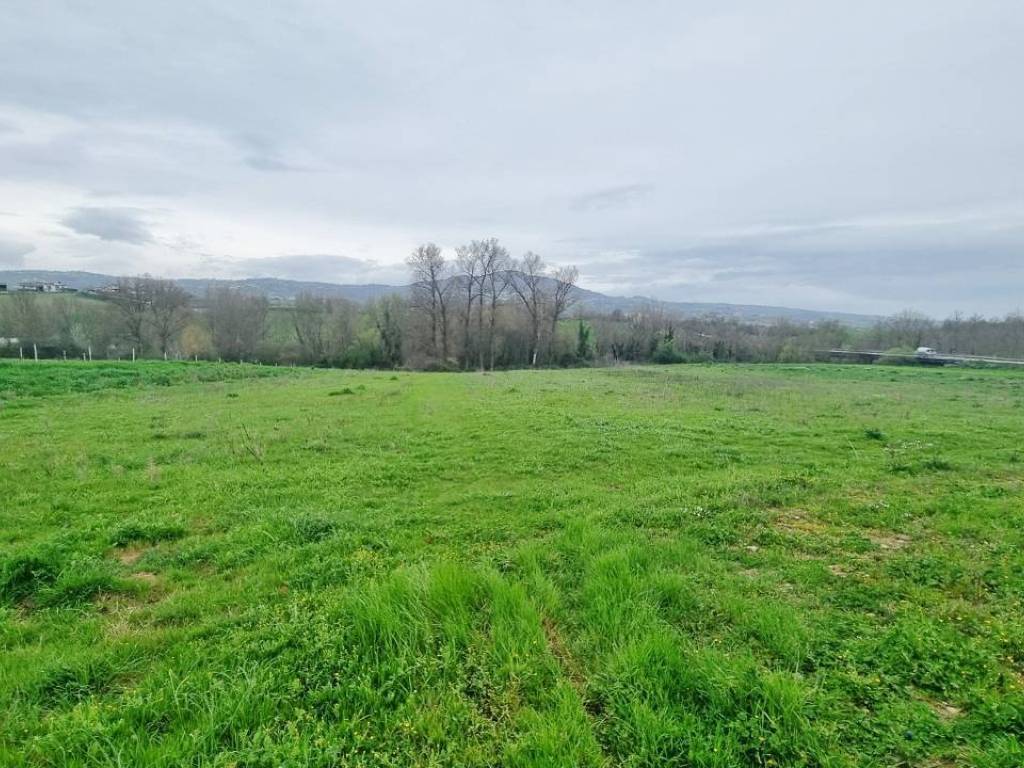 Terreno a Castel baronia in SP281 - Foto 4