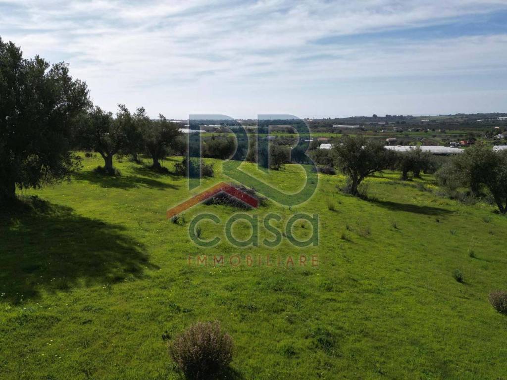 Terreno a Ispica in Contrada Santa Maria Focallo - Foto 5