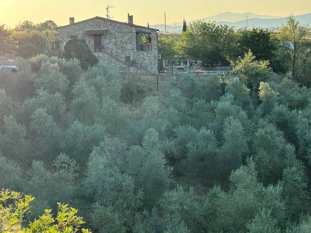 Rustico / casale a Roccastrada in Ribolla - Foto 3