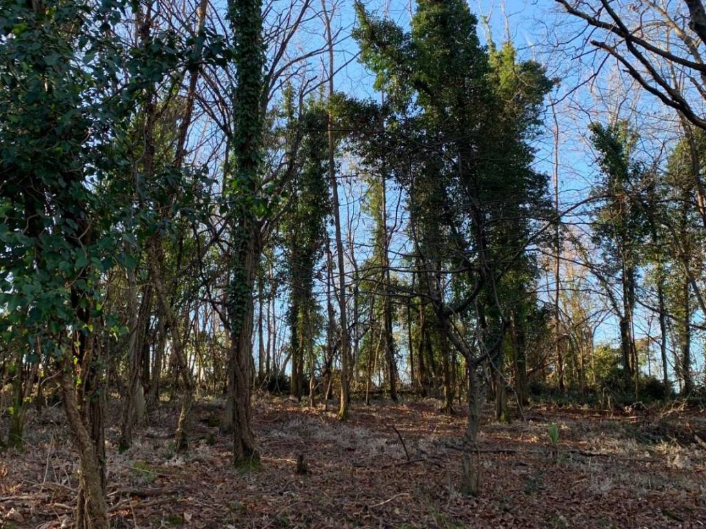 Terreno a Cormons in Via Sottomonte - Foto 2