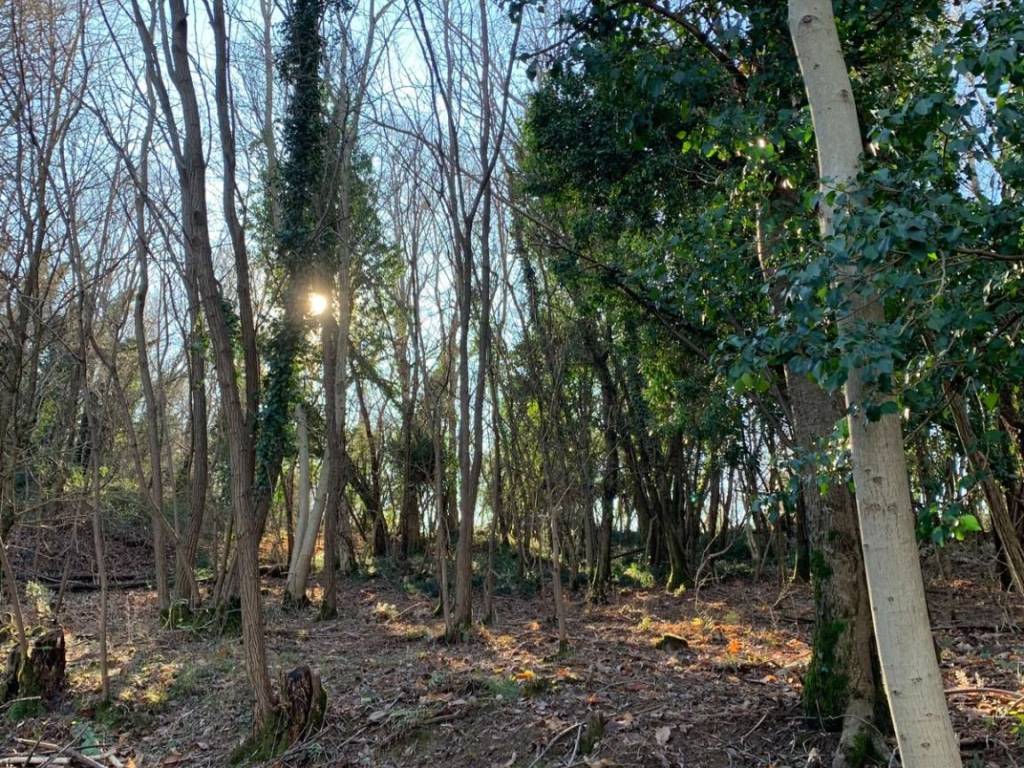 Terreno a Cormons in Via Sottomonte - Foto 3