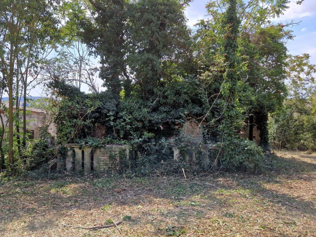 Rustico / casale a Recanati in Contrada Ricciola - Foto 4