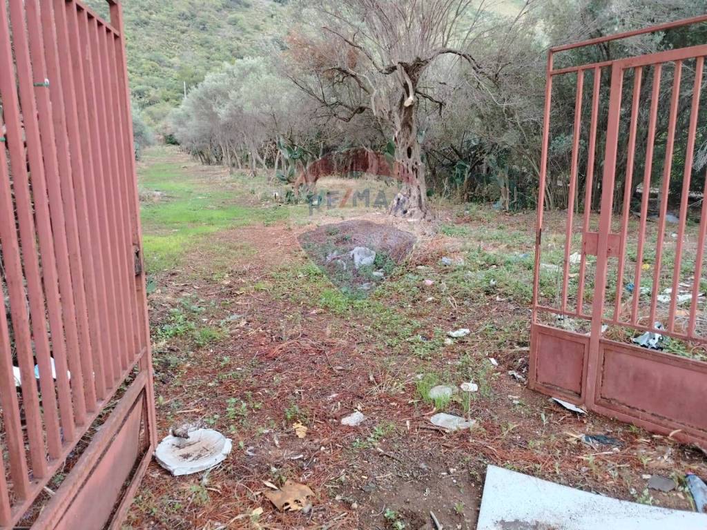 Terreno a Cinisi in strada provinciale - Foto 2