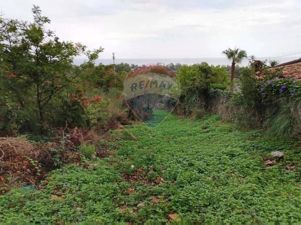 Terreno a Cinisi in strada provinciale - Foto 3